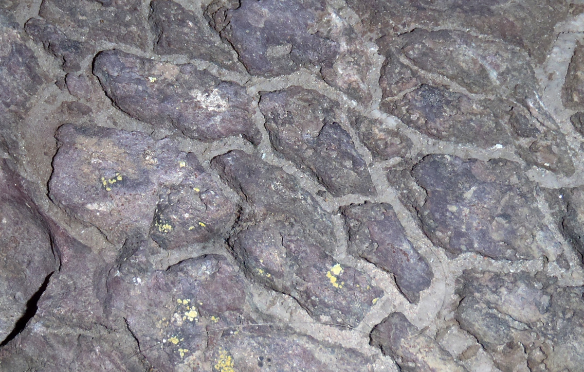 fossiele krimpscheuren